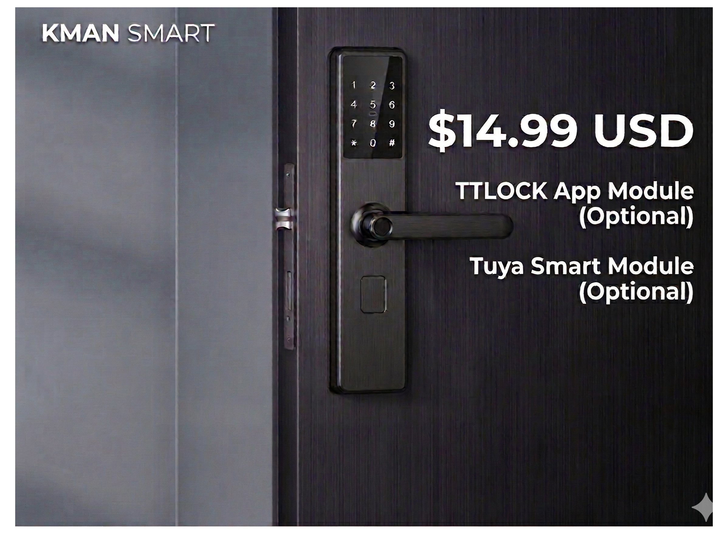 KMAN BSL-S1 basic version smart lock starting at $14.99 USD with optional TTLock and Tuya smart home module integration.